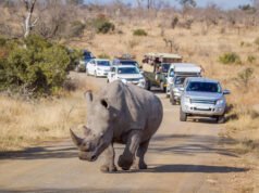 South Africa: Visa-free travel leads to surge in Kenyan visitors