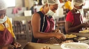 Ghana: SMEs to get US$100m digital loans