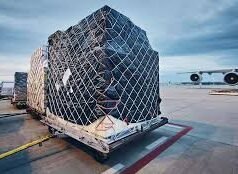 Strong Air Cargo Demand Growth Extends into July