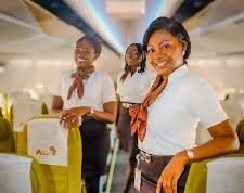 Africa Needs 75k New Aviation Professionals – Boeing