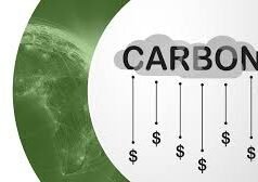 How to Make Carbon Pricing Work for Africa