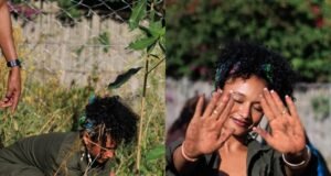 Climate Advocate Plants 100 Indigenous Trees in Kenya Climate Advocate Plants 100 Indigenous Trees in Kenya