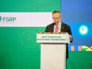 West Africa’s $5bn rice import bill a ‘strategic vulnerability’, World Bank VP warns West Africa’s $5bn rice import bill a ‘strategic vulnerability’, World Bank VP warns