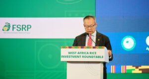 West Africa’s $5bn rice import bill a ‘strategic vulnerability’, World Bank VP warns West Africa’s $5bn rice import bill a ‘strategic vulnerability’, World Bank VP warns