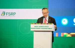 West Africa’s $5bn rice import bill a ‘strategic vulnerability’, World Bank VP warns West Africa’s $5bn rice import bill a ‘strategic vulnerability’, World Bank VP warns