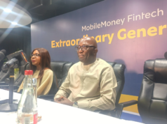 MTN MoMo posts GHS1.7 billion revenue, declares 30 pesewas dividend per share MTN MoMo posts GHS1.7 billion revenue, declares 30 pesewas dividend per share