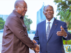 Ghana, Ivory Coast strengthen Cocoa Alliance as Mahama meets Ouattara Ghana, Ivory Coast strengthen Cocoa Alliance as Mahama meets Ouattara