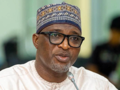Eight Companies Apply to Cultivate Industrial Cannabis in Ghana – Interior Minister Eight Companies Apply to Cultivate Industrial Cannabis in Ghana – Interior Minister
